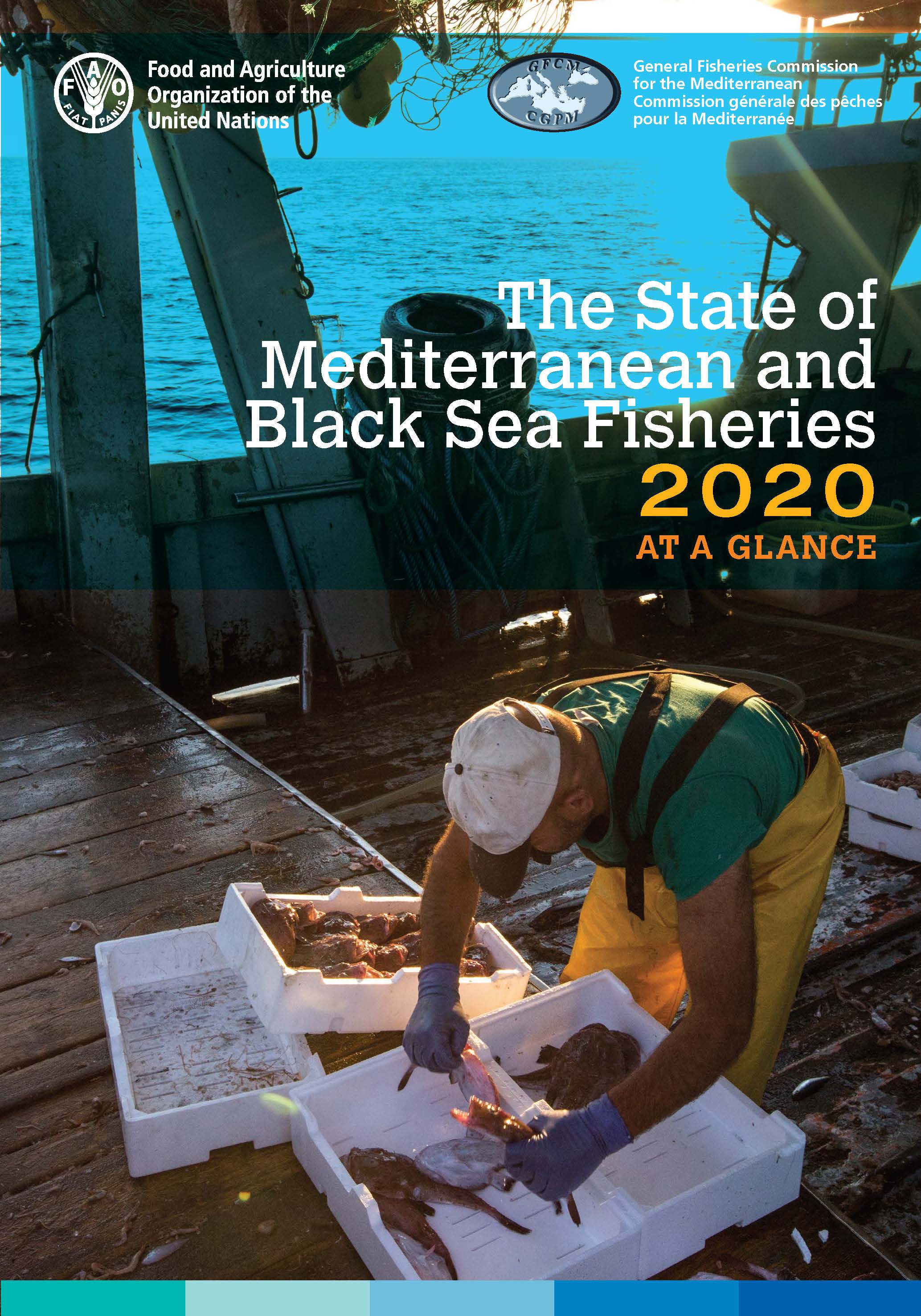 Publications General Fisheries Commission For The Mediterranean